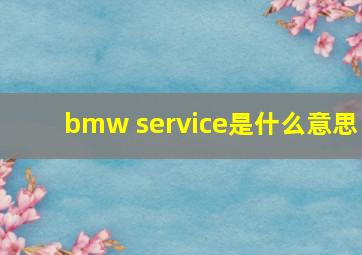 bmw service是什么意思